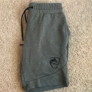 Alphalete Shorts - Jade
